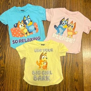 Bluey t-shirt three-pack. New without tags.